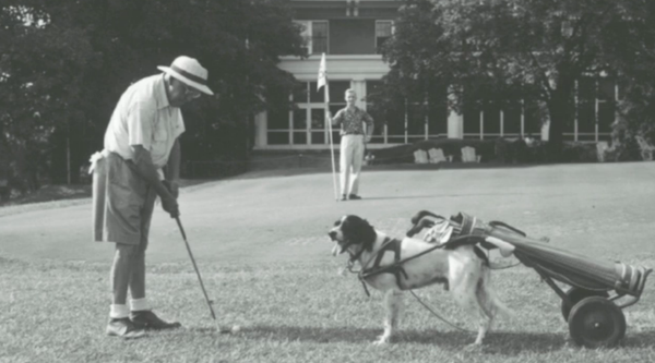 9a. Golf with dog caddy- l